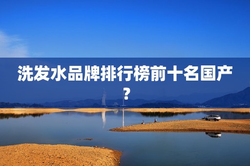 洗发水品牌排行榜前十名国产？