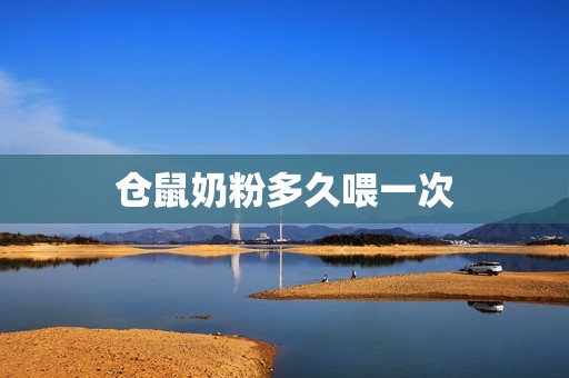 仓鼠奶粉多久喂一次