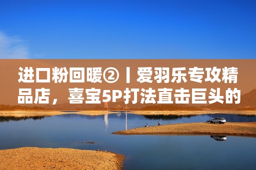 进口粉回暖②丨爱羽乐专攻精品店，喜宝5P打法直击巨头的混乱价盘