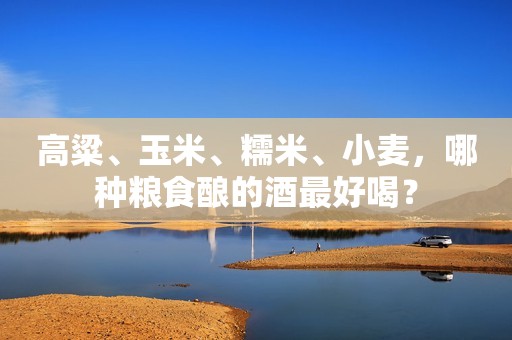 高粱、玉米、糯米、小麦，哪种粮食酿的酒最好喝？