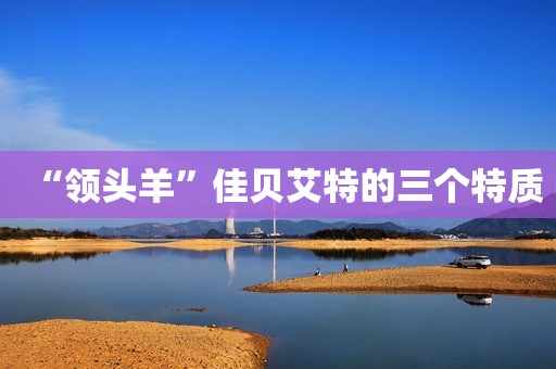 “领头羊”佳贝艾特的三个特质