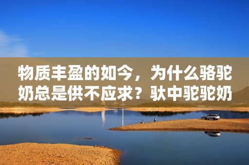 物质丰盈的如今，为什么骆驼奶总是供不应求？驮中驼驼奶粉