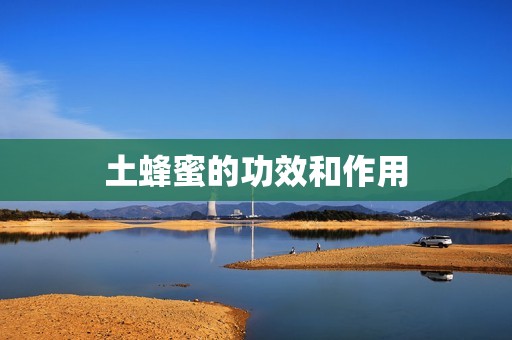 土蜂蜜的功效和作用