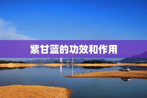 紫甘蓝的功效和作用