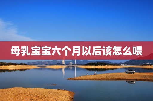 母乳宝宝六个月以后该怎么喂