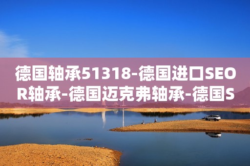 德国轴承51318-德国进口SEOR轴承-德国迈克弗轴承-德国SEOR进口轴承