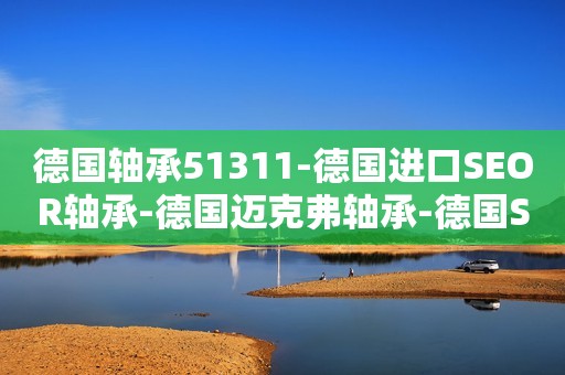 德国轴承51311-德国进口SEOR轴承-德国迈克弗轴承-德国SEOR进口轴承