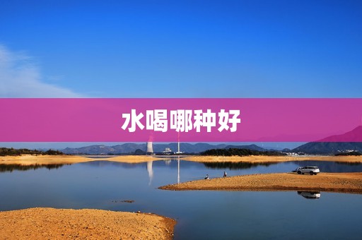 水喝哪种好