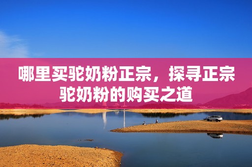 哪里买驼奶粉正宗，探寻正宗驼奶粉的购买之道