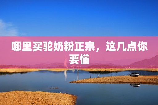 哪里买驼奶粉正宗，这几点你要懂