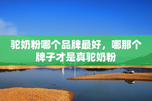 驼奶粉哪个品牌最好，哪那个牌子才是真驼奶粉