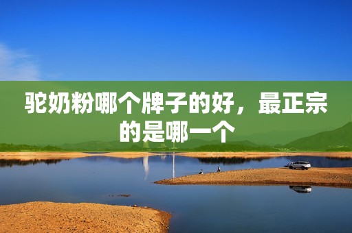 驼奶粉哪个牌子的好，最正宗的是哪一个