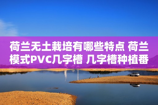 荷兰无土栽培有哪些特点 荷兰模式PVC几字槽 几字槽种植番茄