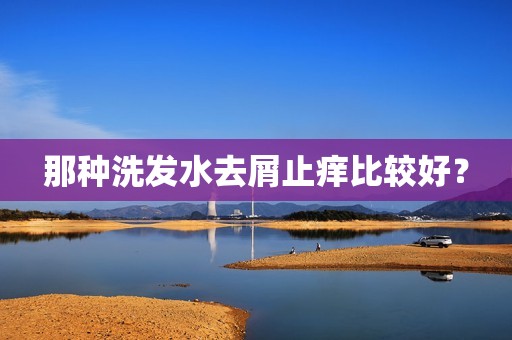 那种洗发水去屑止痒比较好？