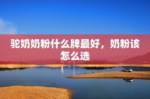 驼奶奶粉什么牌最好，奶粉该怎么选