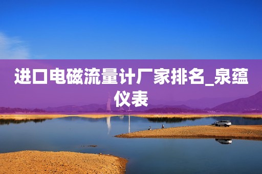 进口电磁流量计厂家排名_泉蕴仪表