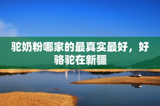 驼奶粉哪家的最真实最好，好骆驼在新疆