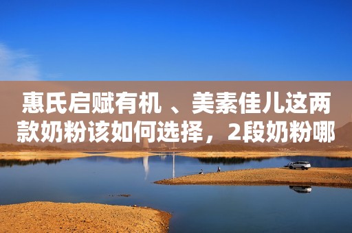 惠氏启赋有机 、美素佳儿这两款奶粉该如何选择，2段奶粉哪款好？