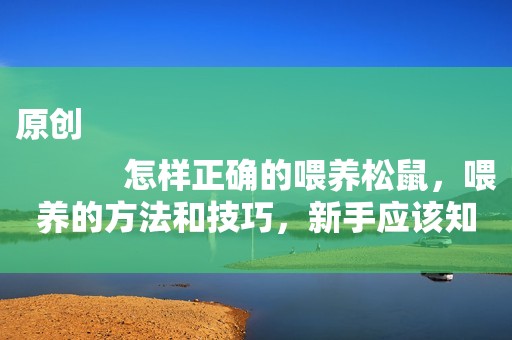 原创
            怎样正确的喂养松鼠，喂养的方法和技巧，新手应该知道的
