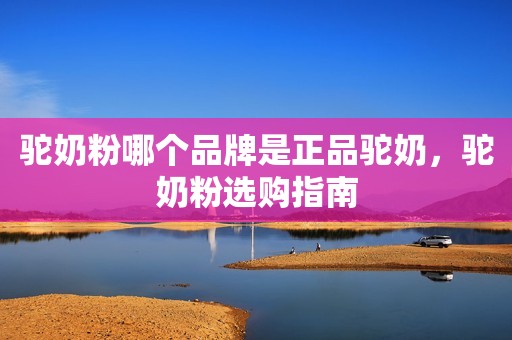 驼奶粉哪个品牌是正品驼奶，驼奶粉选购指南