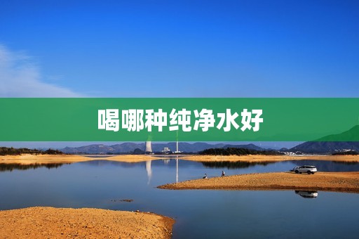 喝哪种纯净水好
