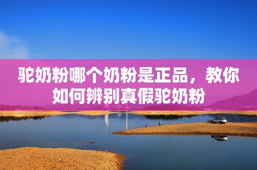 驼奶粉哪个奶粉是正品，教你如何辨别真假驼奶粉