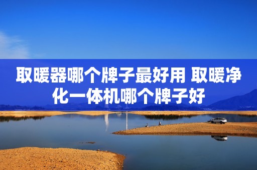 取暖器哪个牌子最好用 取暖净化一体机哪个牌子好
