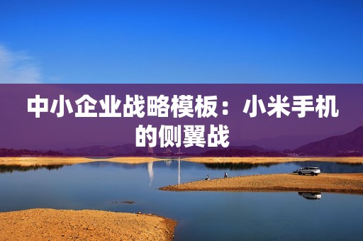 中小企业战略模板：小米手机的侧翼战