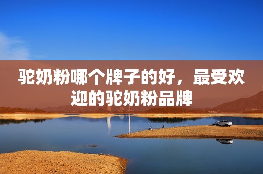 驼奶粉哪个牌子的好，最受欢迎的驼奶粉品牌