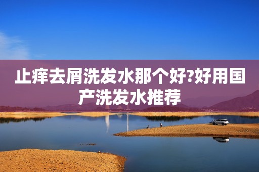 止痒去屑洗发水那个好?好用国产洗发水推荐