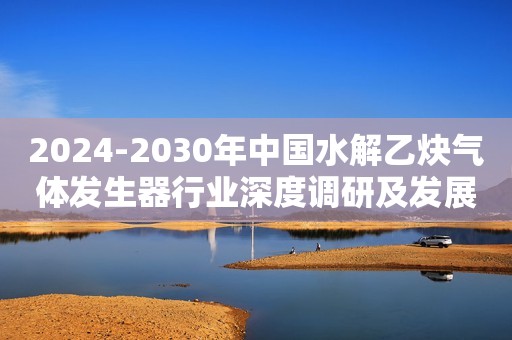 2024-2030年中国水解乙炔气体发生器行业深度调研及发展预测报告