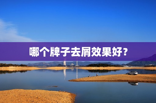 哪个牌子去屑效果好？