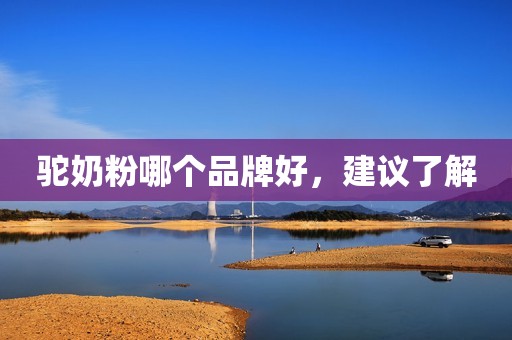 驼奶粉哪个品牌好，建议了解