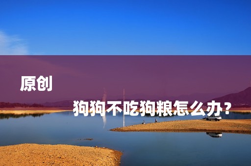 原创
            狗狗不吃狗粮怎么办？