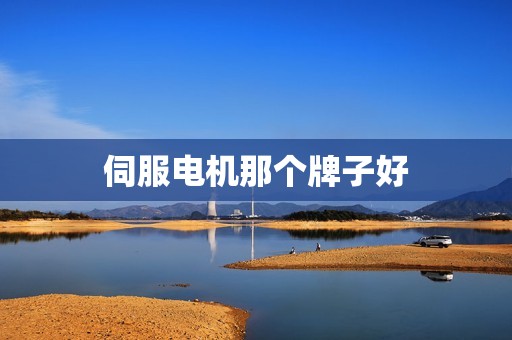 伺服电机那个牌子好