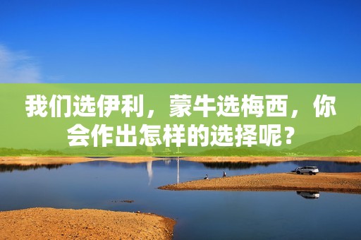我们选伊利，蒙牛选梅西，你会作出怎样的选择呢？