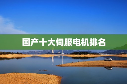 国产十大伺服电机排名