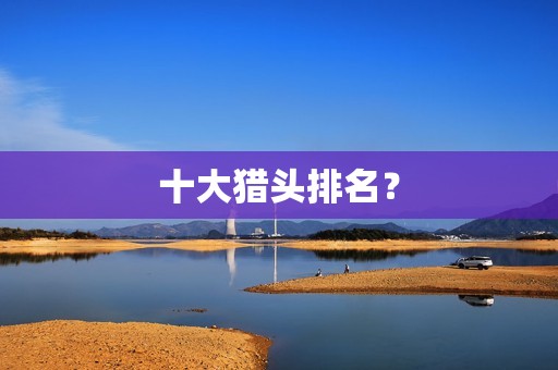 十大猎头排名？
