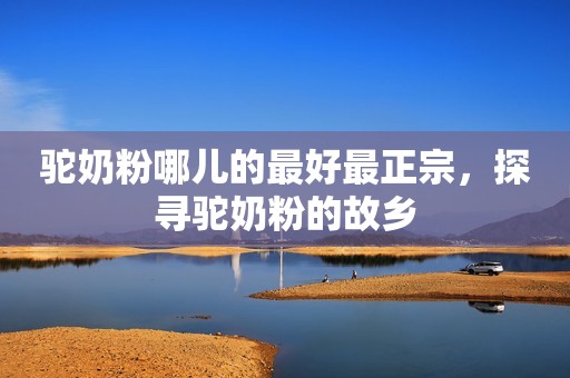 驼奶粉哪儿的最好最正宗，探寻驼奶粉的故乡