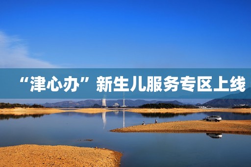 “津心办”新生儿服务专区上线