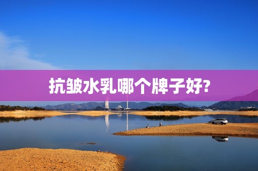 抗皱水乳哪个牌子好?
