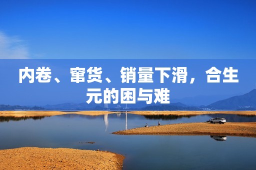 内卷、窜货、销量下滑，合生元的困与难