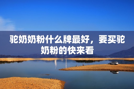 驼奶奶粉什么牌最好，要买驼奶粉的快来看