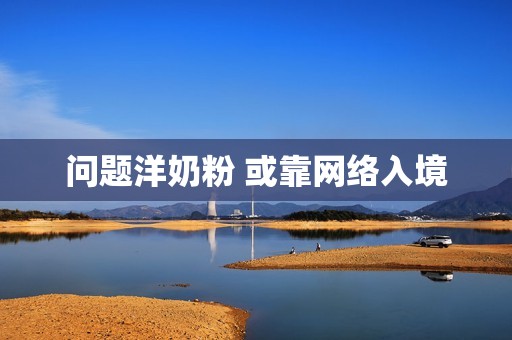 问题洋奶粉 或靠网络入境