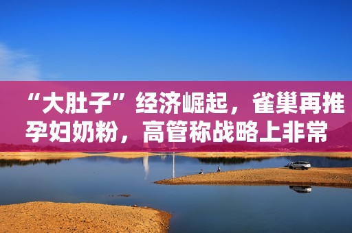 “大肚子”经济崛起，雀巢再推孕妇奶粉，高管称战略上非常重要！