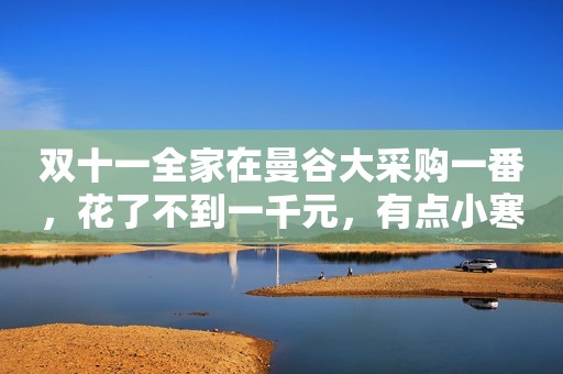 双十一全家在曼谷大采购一番，花了不到一千元，有点小寒酸！