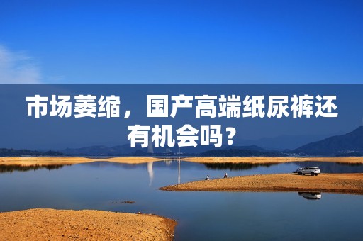 市场萎缩，国产高端纸尿裤还有机会吗？