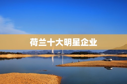 荷兰十大明星企业