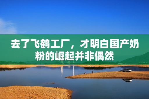 去了飞鹤工厂，才明白国产奶粉的崛起并非偶然