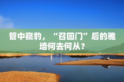 管中窥豹，“召回门”后的雅培何去何从？